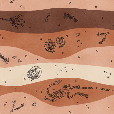 Fossilized Life Repeat Pattern