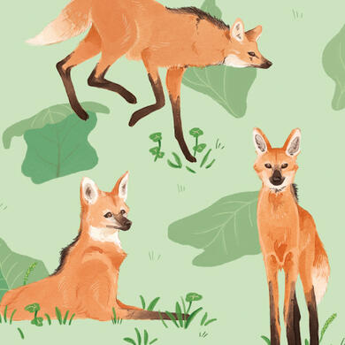 Maned Wolf Repeat Pattern